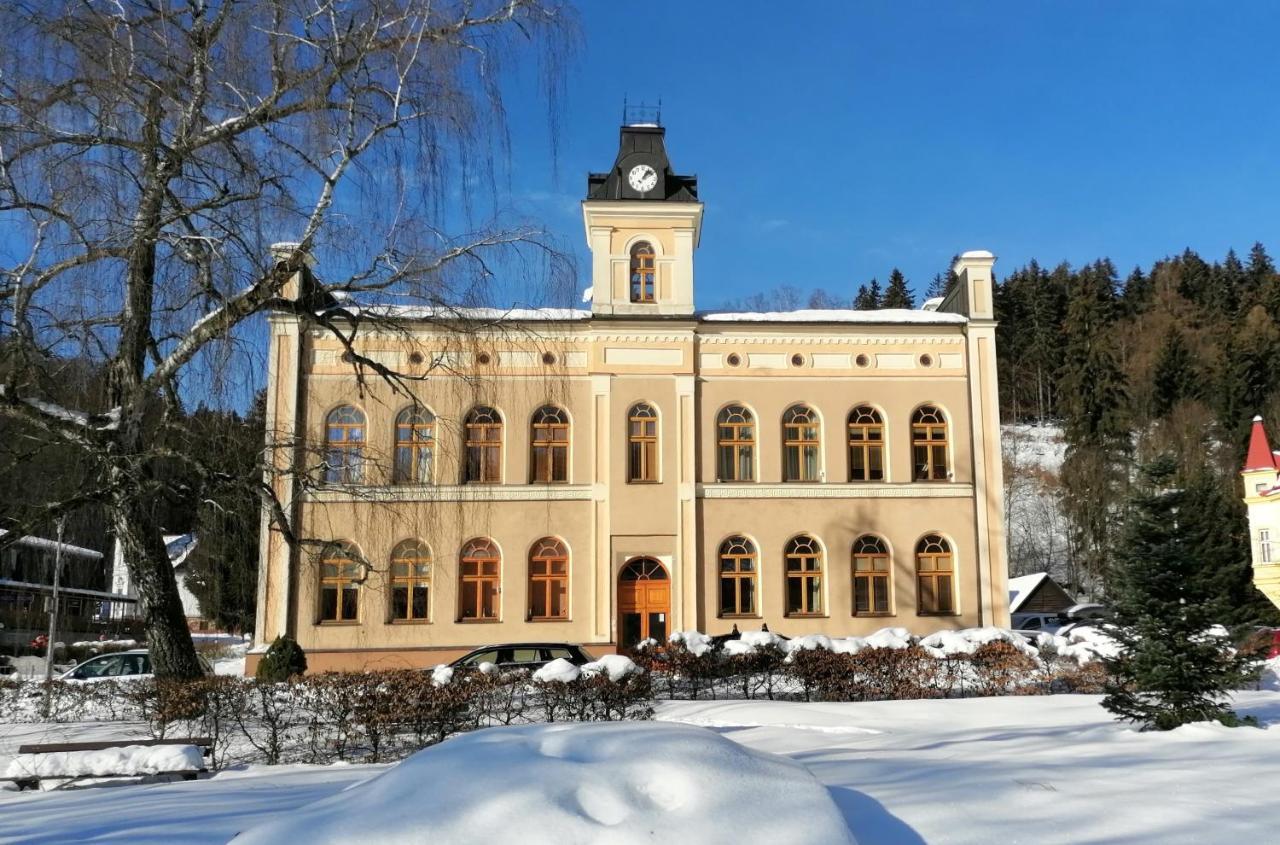 Pod Strechou Apartment Svoboda nad Upou Luaran gambar